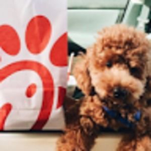 Meet your Posher, Nadia